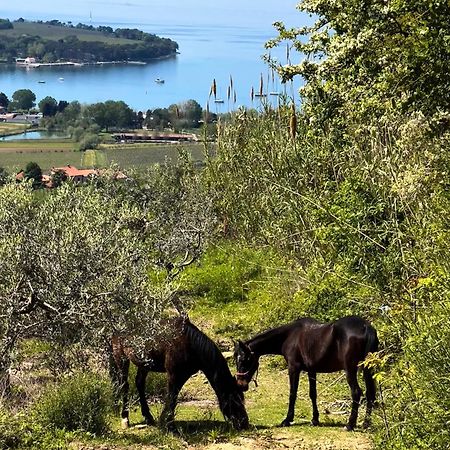 Na Kmetiji S Konji - Pogelsek Leilighet Ankaran Eksteriør bilde